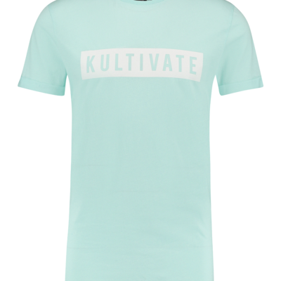 Kultivate T-shirt KV bleached aqua