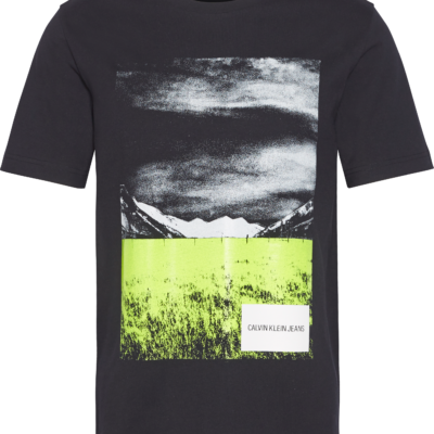 Calvin Klein T-shirt met Grafische Print