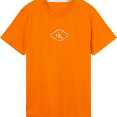 CALVIN KLEIN T-SHIRT MET LOGO Rusty orange