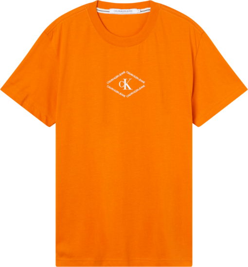 CALVIN KLEIN T-SHIRT MET LOGO Rusty orange
