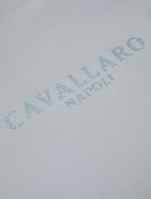 CAVALLARO NAPOLI RORZANO R-NECK SWEATER GROEN