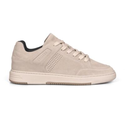 Cycleur de Luxe ND6 Pumice Stone